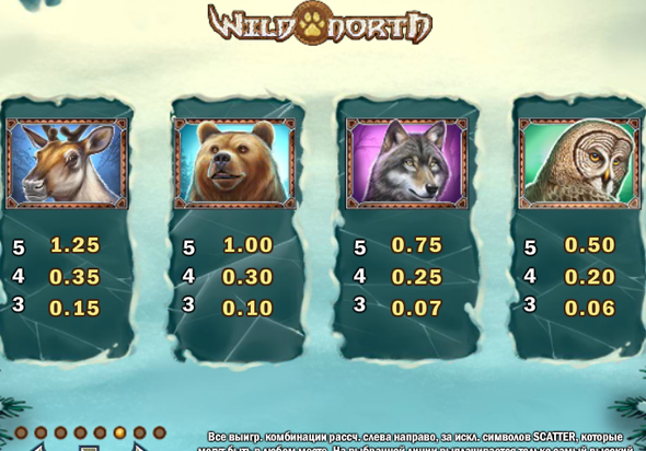 Описание символов игрового автомата Wild North от Play`n Go